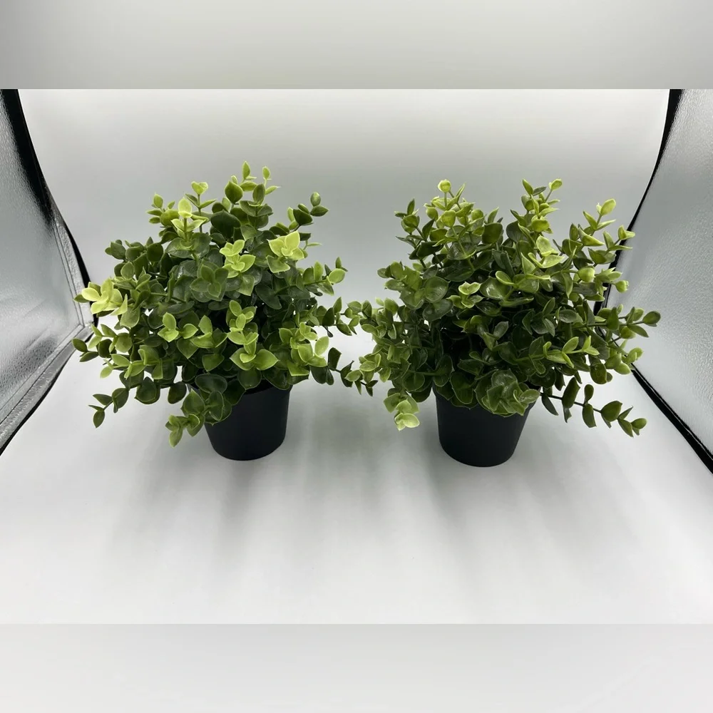 IKEA - FEJKA - 103.751.59 - Set of 2
